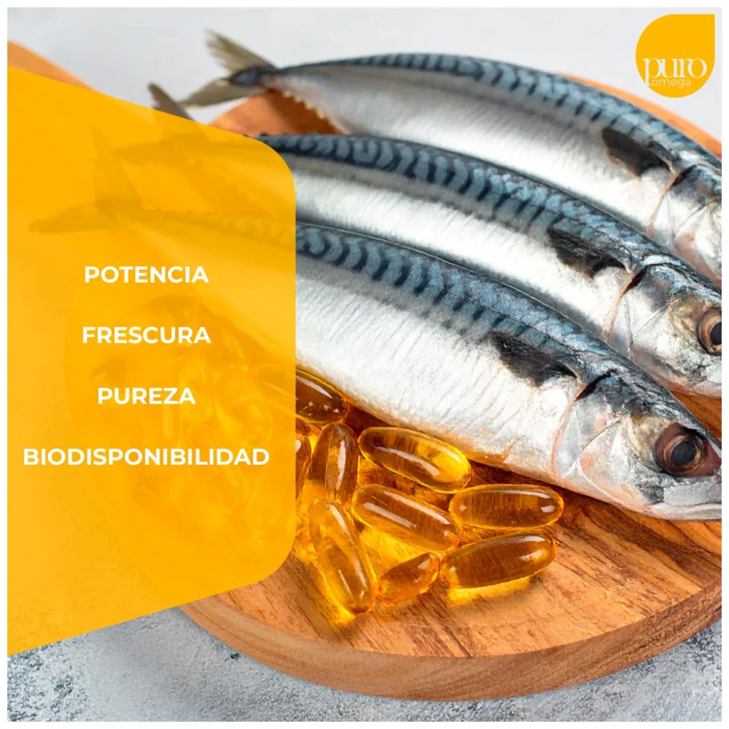 La importancia de la suplementación de Omega-3 de gran calidad ¿Qué debo buscar?